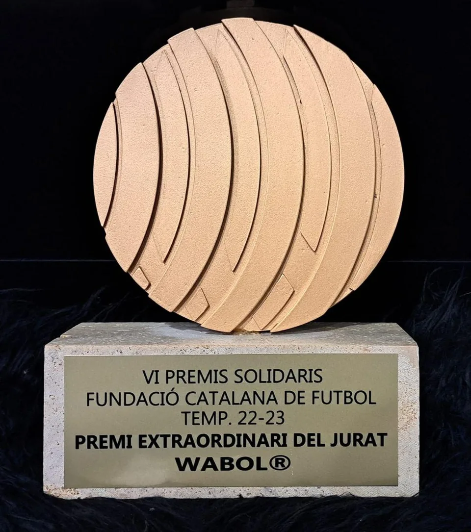 Vl solidarity awards ceremony of the Fundació Catalana de Futbol