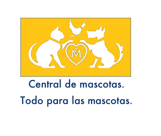 1Central de MAS