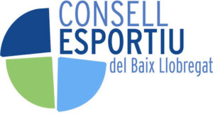 consell.jpg