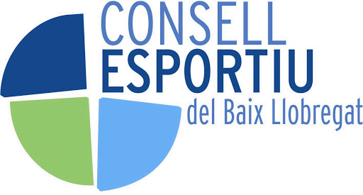 consell.jpg
